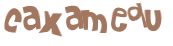 Wyzwanie captcha