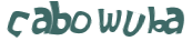 Captcha-test