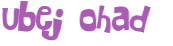 Sfida captcha