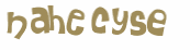 Sfida captcha