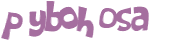 CAPTCHA 挑戰