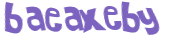 CAPTCHA 挑戰