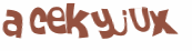 Captcha 챌린지