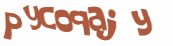 Captcha 챌린지