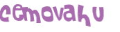 CAPTCHA 挑戰