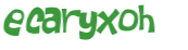 Captcha 챌린지