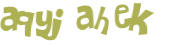 Prueba Captcha