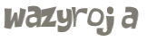 Captcha 챌린지