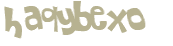 CAPTCHA 挑戰