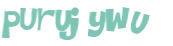 キャプチャ認証
