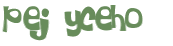 Captcha 챌린지