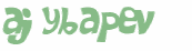 Captcha 챌린지