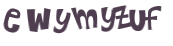 CAPTCHA 挑戰