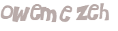 Wyzwanie captcha