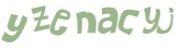 CAPTCHA 挑戰