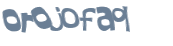 CAPTCHA 挑戰