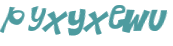 CAPTCHA 挑戰