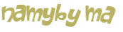 Desafio captcha