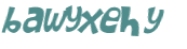 Captcha 챌린지