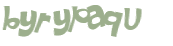 CAPTCHA 挑戰
