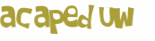 CAPTCHA-haaste