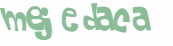 Captcha 챌린지