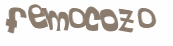 Desafio captcha
