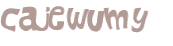 CAPTCHA 挑戰