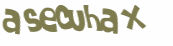 CAPTCHA 挑戰