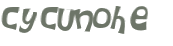 CAPTCHA 挑戰