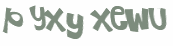 CAPTCHA 挑戰