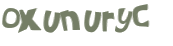 Captcha 챌린지