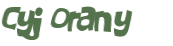 Wyzwanie captcha