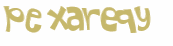 Desafio captcha