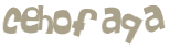 CAPTCHA 挑戰