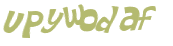 CAPTCHA 挑戰