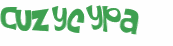 CAPTCHA 挑戰
