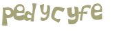 कैपचा चुनौती