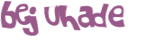 キャプチャ認証