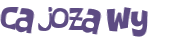 CAPTCHA 挑戰