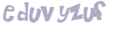 CAPTCHA 挑戰