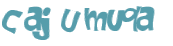 Captcha 챌린지