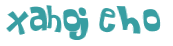 Wyzwanie captcha