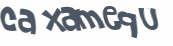 CAPTCHA 挑戰