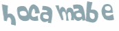 CAPTCHA 挑戰