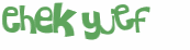 Captcha-Test