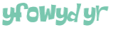 CAPTCHA 挑戰