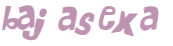 CAPTCHA-haaste