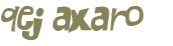 Desafio captcha