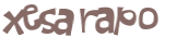 Captcha 챌린지
